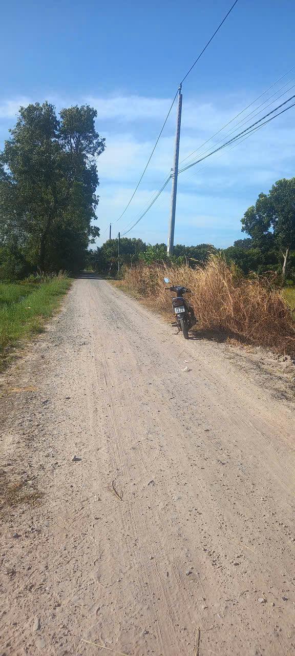 Đất nền Hiệp Thạnh, Gò Dầu 20.000m² - Sổ đỏ chính chủ, bán gấp!