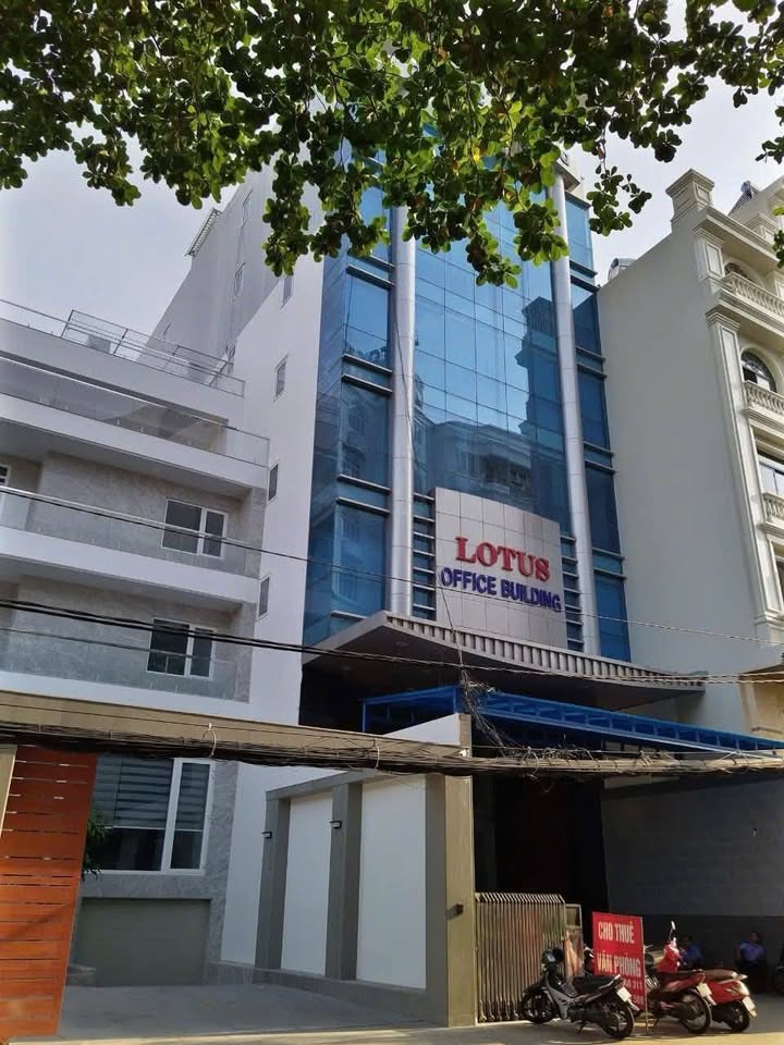 Nhà Mặt Tiền 16 Cửu Long, Tân Bình - 293m², 157 Tỷ TL, HĐT 300 Triệu/Tháng