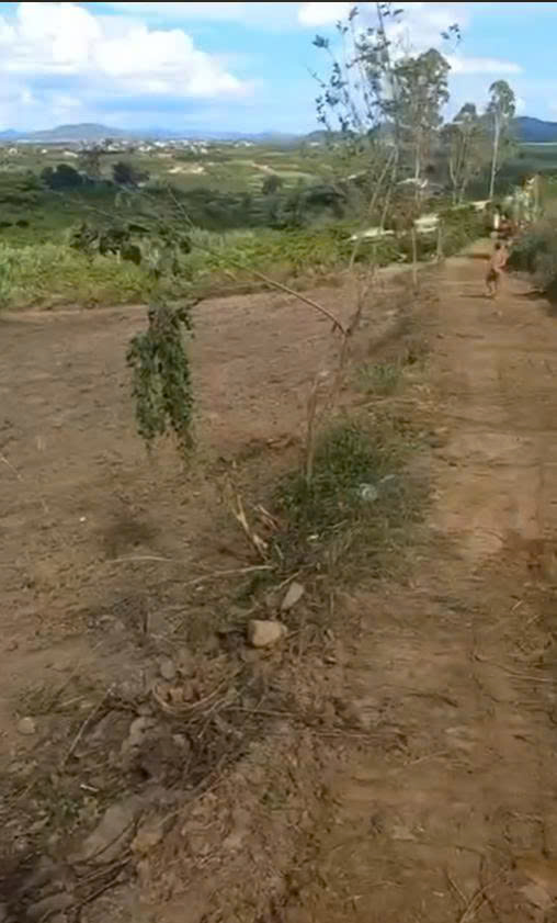 Đất nền Xã Tân Thành, Đức Trọng 3500m² - Sổ đỏ chính chủ, có thổ cư!