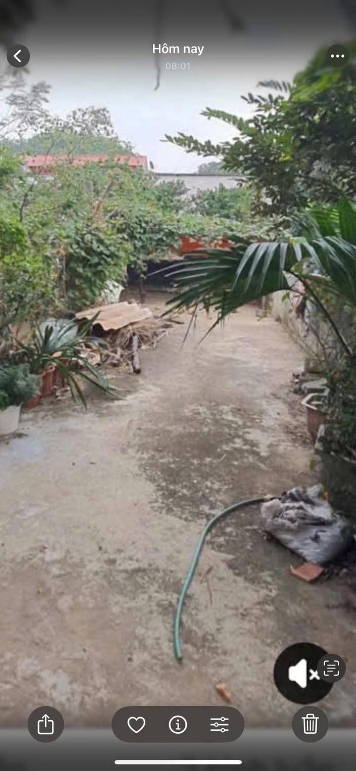 Đất nền Thị trấn Kép 92m² - Sổ đỏ chính chủ, tiềm năng tăng giá!