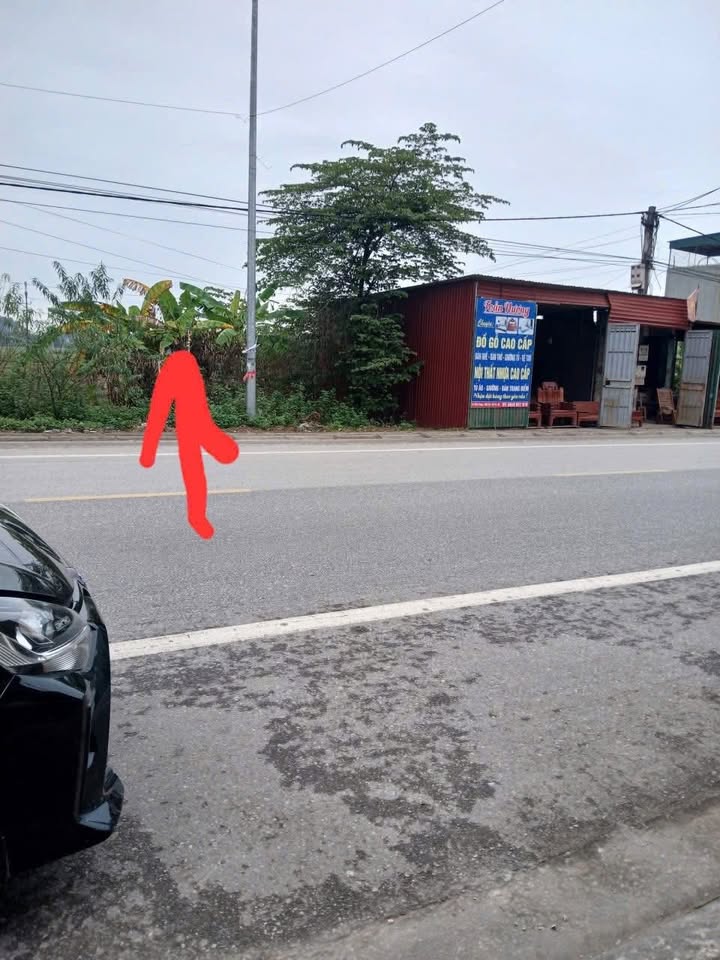 Đất nền Minh Đức, Việt Yên 800m² giá từ 2 tỷ - Sổ đỏ chính chủ!