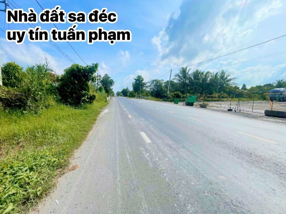 Đất nền mặt tiền QL80, Sa Đéc 618m² - Giá đầu tư, kinh doanh đỉnh