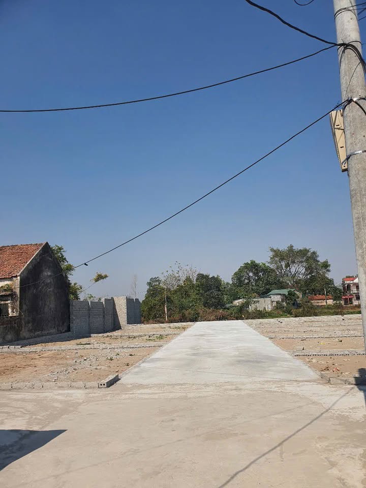 Đất nền Thường Tín 80m² giá 2.3 tỷ - Tiềm năng tăng giá vượt trội!