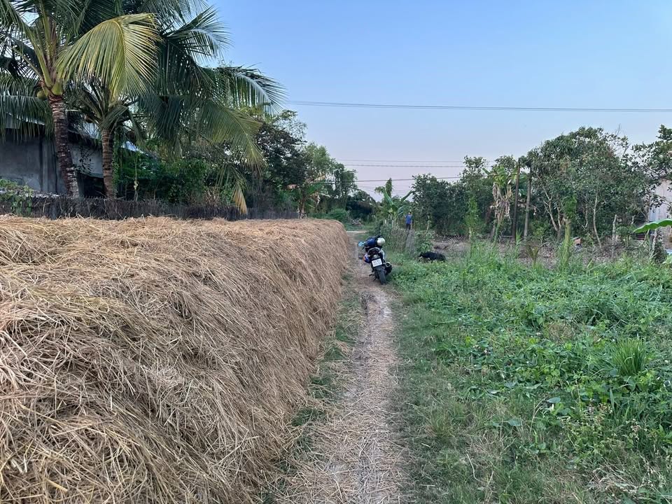 Đất nền Thới Lai - Cần Thơ 2148m² mặt tiền lớn, sẵn sàng kinh doanh & đầu tư