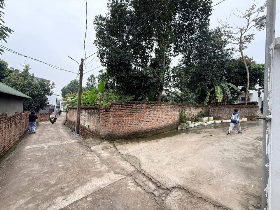 Đất nền Nông Trang Việt Trì 80m² hơn 2 tỷ - Hạ tầng hoàn thiện!