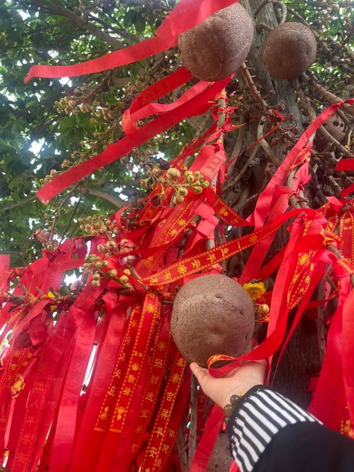 Đất nền Mỹ Phong, Mỹ Tho 200m² giá 1 tỷ - Sổ đỏ chính chủ!