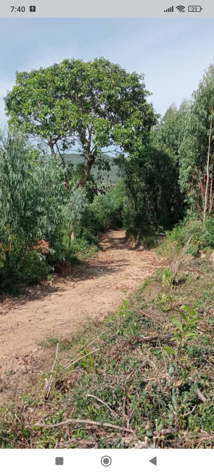 Bán Đất Rừng Sản Xuất TP Tuy Hòa 35ha Giá 3.5 Tỷ - Pháp Lý Rõ Ràng