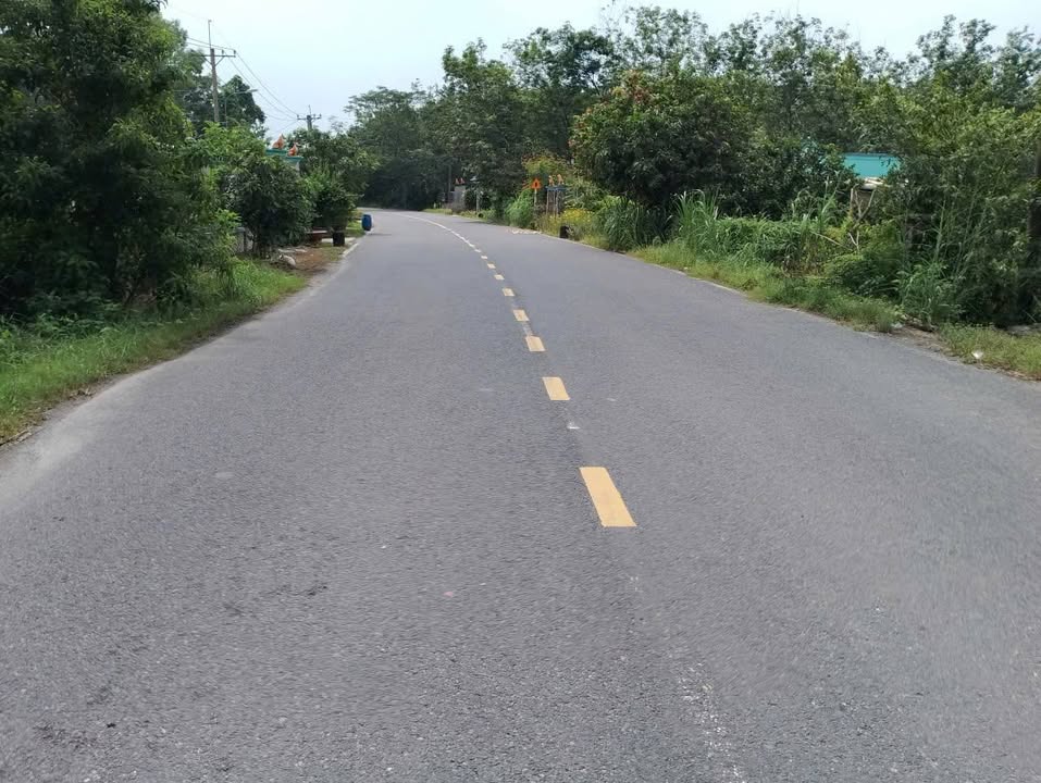 Đất nền Củ Chi 6763m² giá 16.9 tỷ - Tiềm năng tăng giá vượt trội!