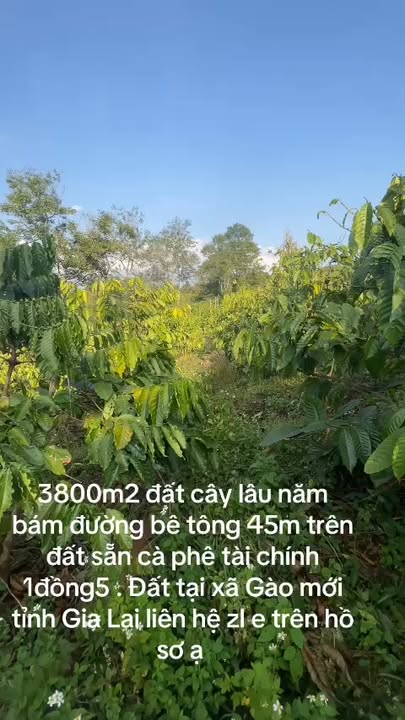 Đất Vườn Ia Kenh Pleiku 3846m² - View Thiên Nhiên Núi Hàm Rồng