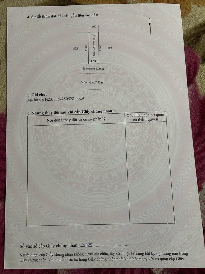 Đất Nền Hải Dương 67.5m² - Đường To Ô Tô, Sổ Đỏ Sẵn Sàng!