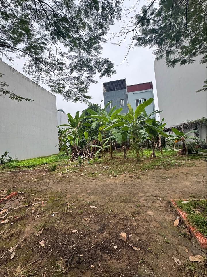 Đất nền Vạn Lộc Hải Dương 74m² 5 tỷ - Xây dựng tự do