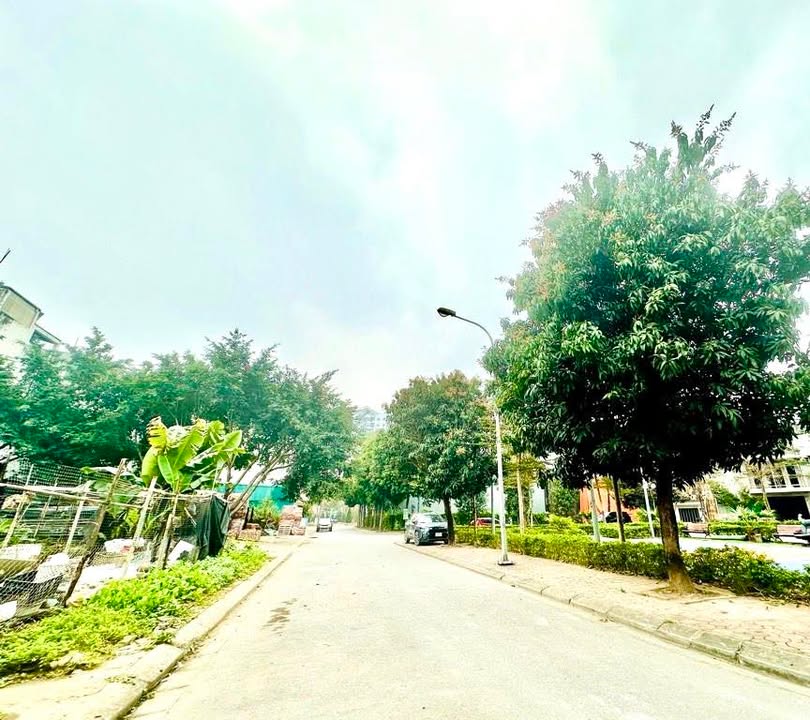 Đất nền Việt Hưng, Long Biên 37m² 7 tỷ - Sổ đỏ chính chủ!