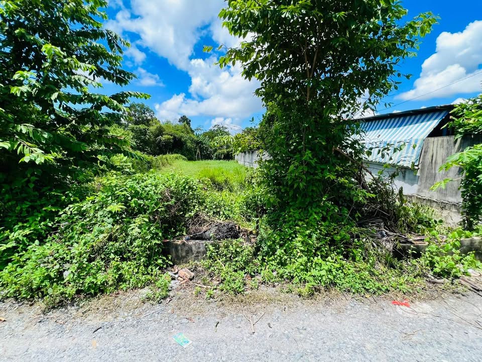 Đất Củ Chi 612m² Sổ Riêng - Vị Trí Đắc Địa Giá 2.9 Tỷ