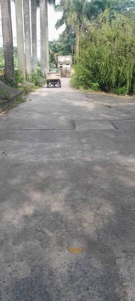 Đất nền Thường Tín 60m² - Sổ đỏ chính chủ, giao dịch ngay!