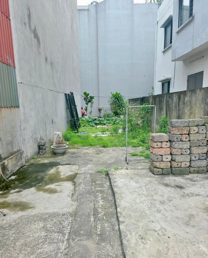 Đất Nền Long Biên 65m² - F0 Giá 6 Tỷ, Sổ Đỏ Vuông Vắn, Gần Chợ, Trường Học