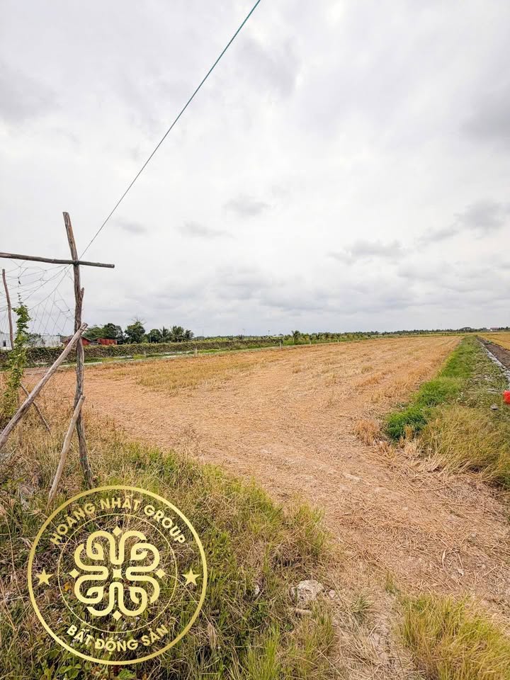 Đất Vườn Lý Văn Lâm Cà Mau 750m² - View kênh thoáng mát!