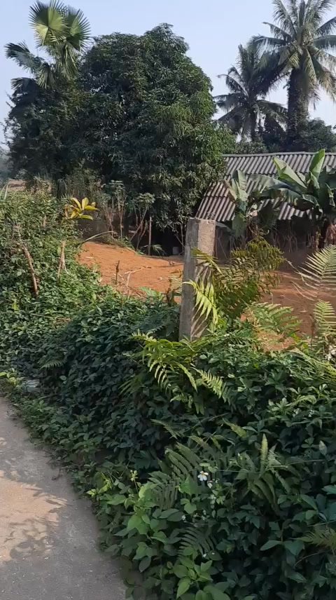 Đất nền Cấp Dẫn Cẩm Khê 196m² giá 196 triệu - Sổ đỏ chính chủ