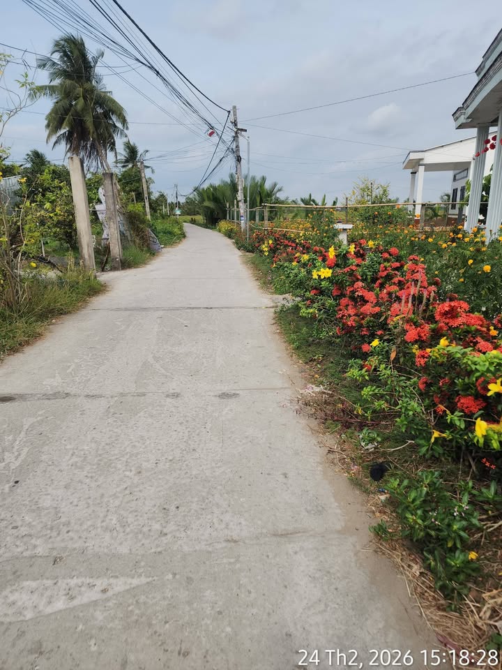 Nhà Vườn 15x35m Huyện Trần Đề, Sóc Trăng - Chỉ 950 Triệu, Ôtô Vivu