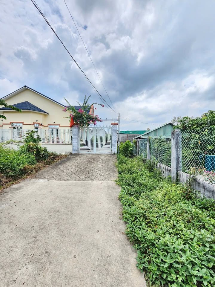 Đất Dĩ An 82.7m² Gần Bình Thung - Sổ Hồng Riêng, Xây Tự Do
