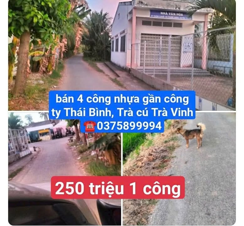 Bán Đất Vườn Trà Vinh 4000m² Giá 1 Tỷ - Gần Công Ty Thái Bình