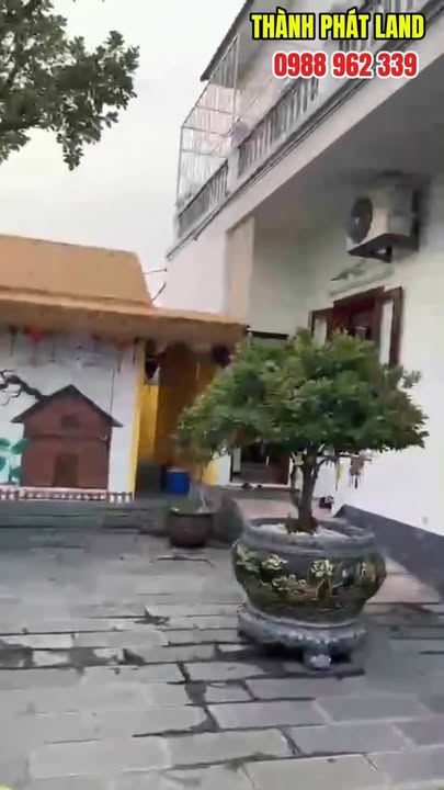 Biệt thự sân vườn Đông Triều 323m² hơn 4 tỷ - Nghỉ dưỡng lý tưởng!