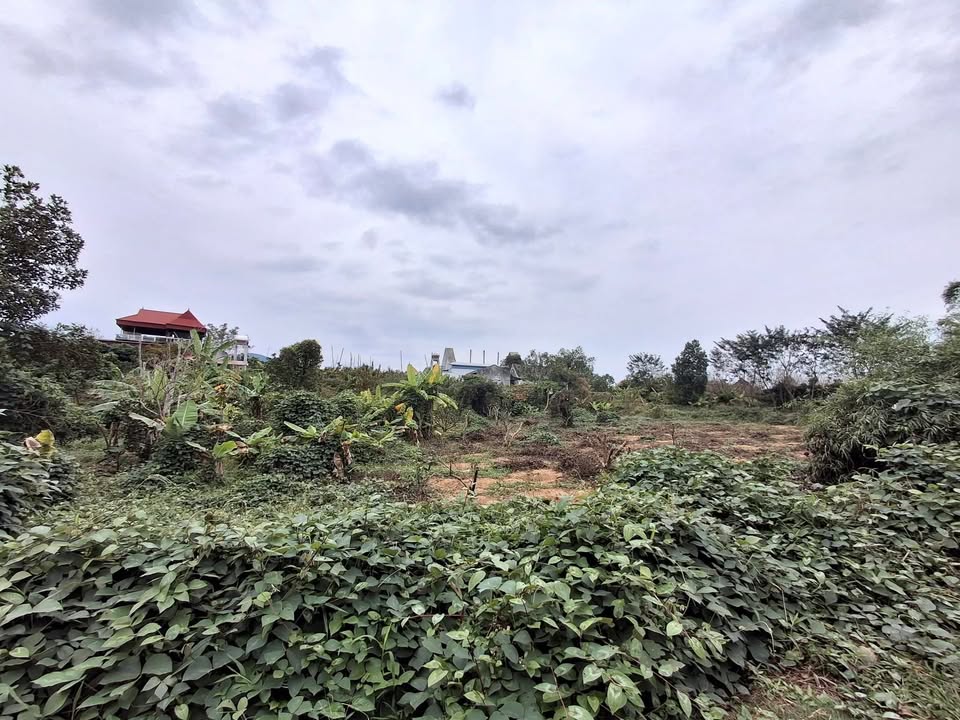 Đất nền Tân Dĩnh, Lạng Giang 1289m² - Đường to ô tô, chính chủ!