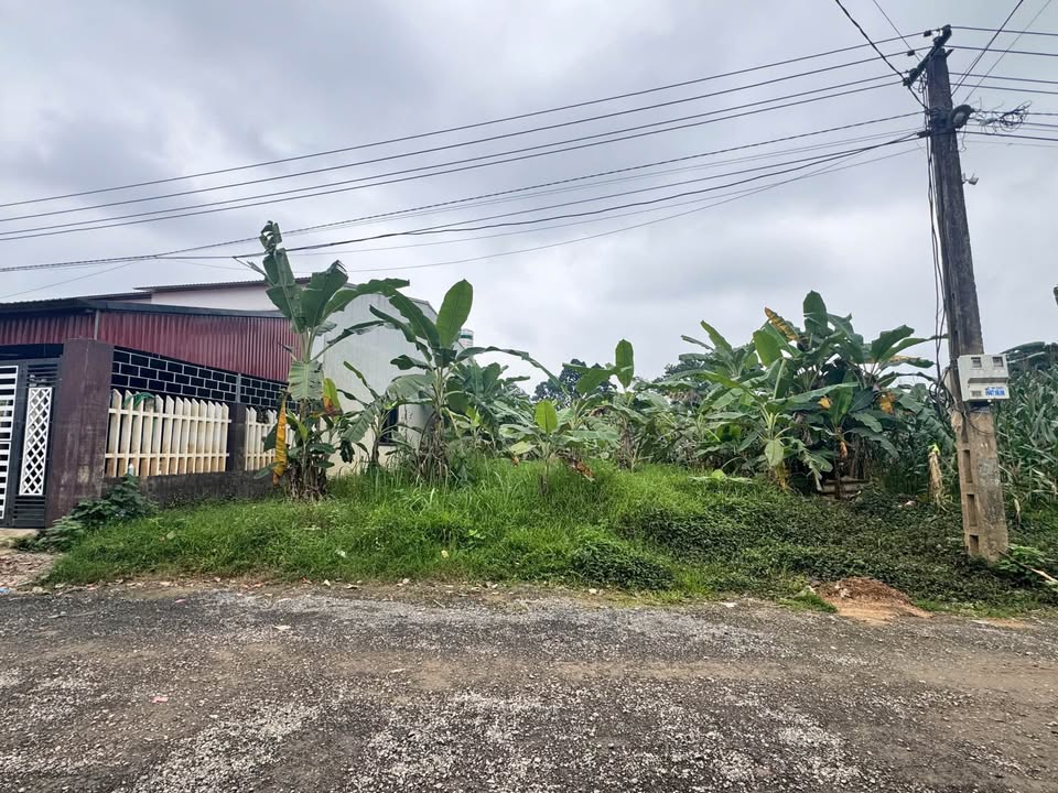 Đất nền Trạm Tấu, Yên Bái 452m² - Ô tô vào tận nơi, pháp lý rõ ràng!