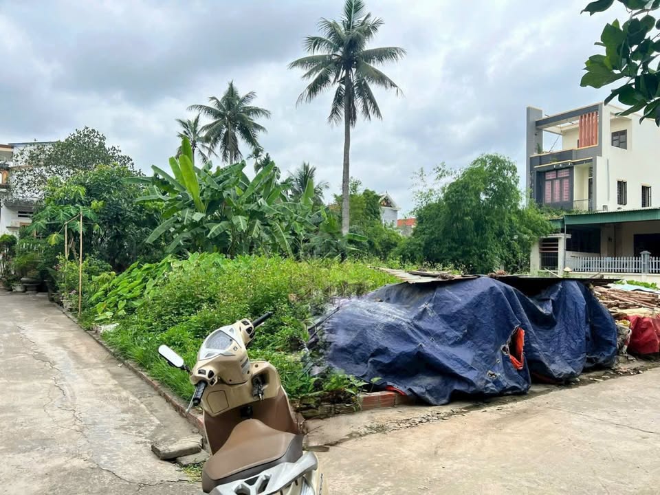 Đất nền Tân Dương, Thủy Nguyên 82m² - Sổ đỏ chính chủ, ô tô vào tận đất!