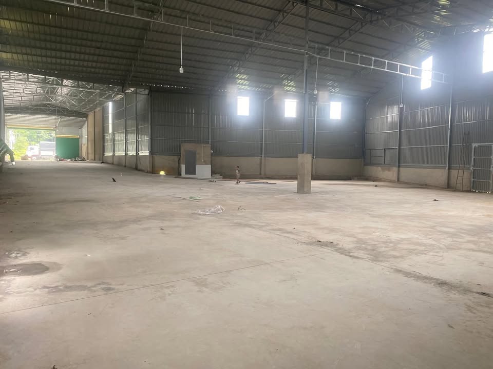 Cho thuê kho xưởng 1500m² Mỹ Phước, Bến Cát - Giá 45 Triệu/Tháng