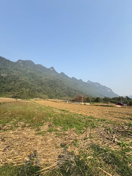 Đất nền Phong Quang, Vị Xuyên 1000m² - Tiềm năng tăng giá vượt trội!