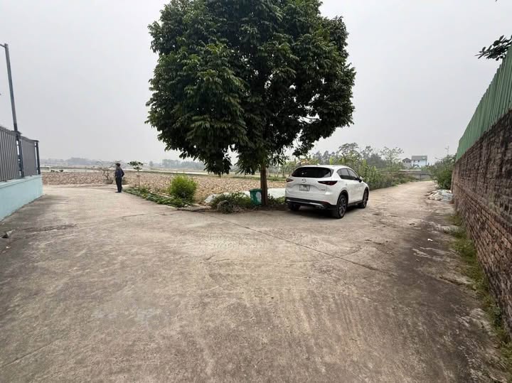 Đất nền Quang Tiến, Sóc Sơn 142m² - Sổ đỏ chính chủ, ô tô vào đất!