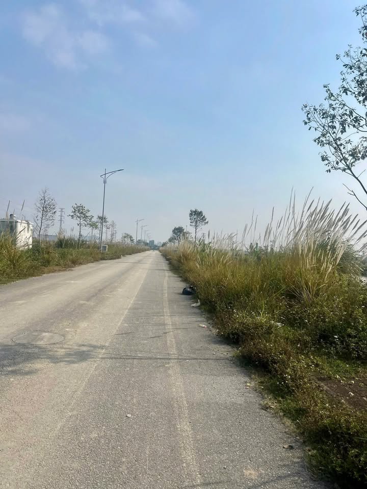 Đất nền Hàm Hạ Rừng Thông 128m² - Tiềm năng tăng giá vượt trội!