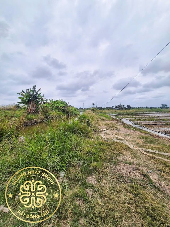 Đất Vườn Xã Lý Văn Lâm Cà Mau 716m² - View Thiên Nhiên Tuyệt Đẹp!
