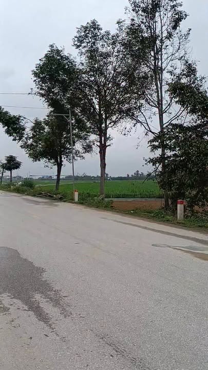 Đất nền Thanh Tiên, Thanh Chương 200m² - Tiềm năng tăng giá vượt trội!