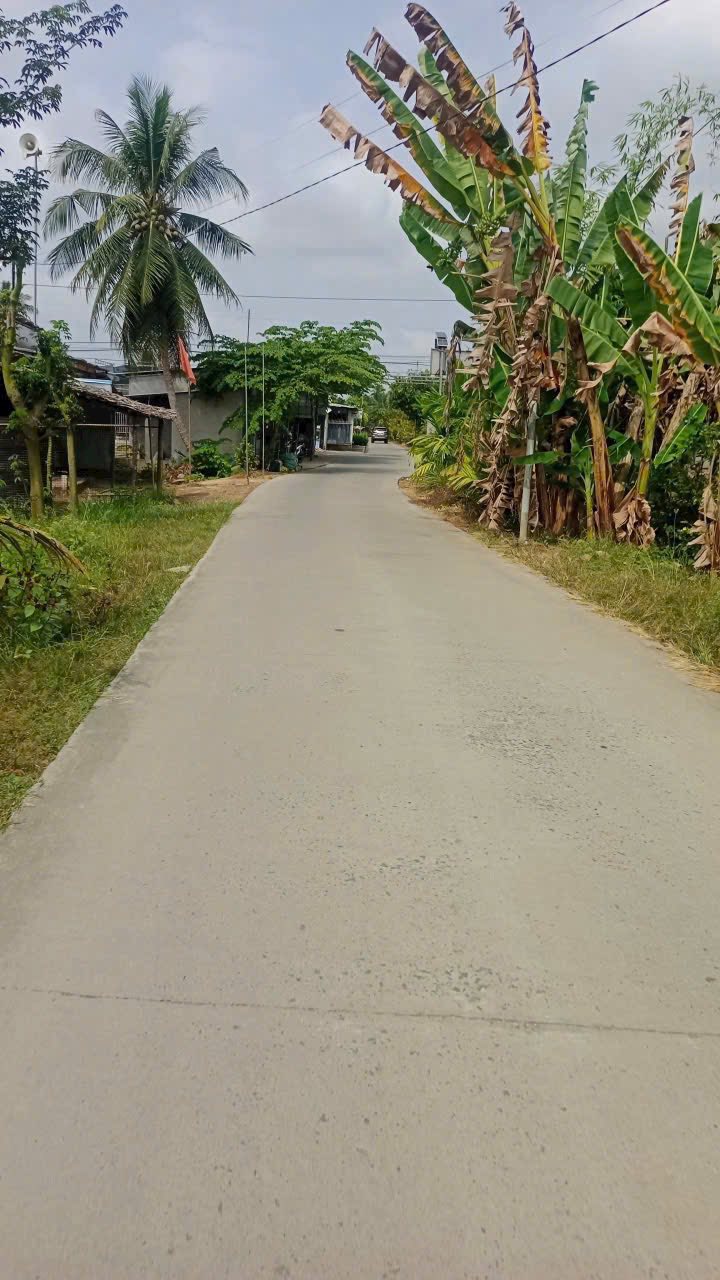 Đất Nền Phú Mỹ Bến Tre 431m² - Giá Đầu Tư Chỉ 500 Triệu