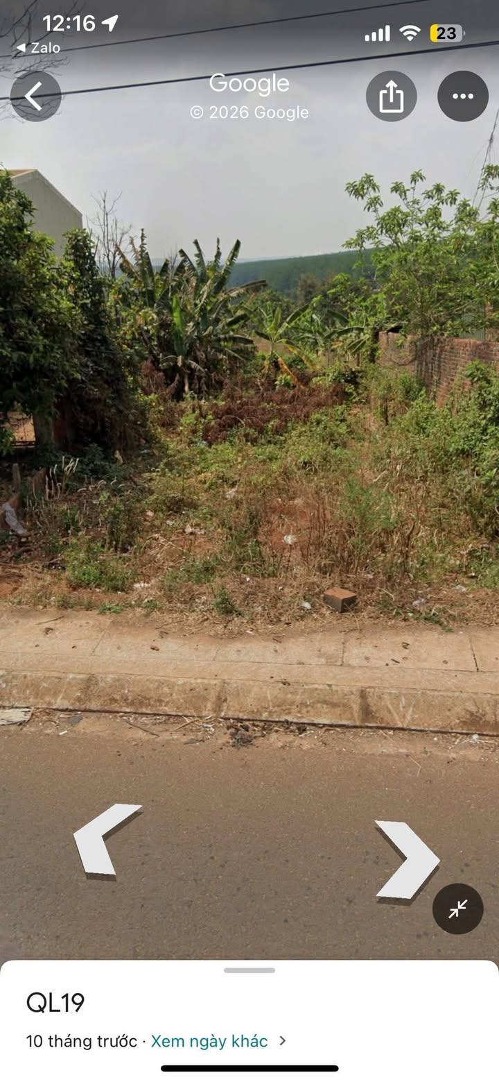 Đất Nền QL 19, Đức Cơ, Gia Lai - 100m² Thổ Cư, Giá Tốt Đầu Năm