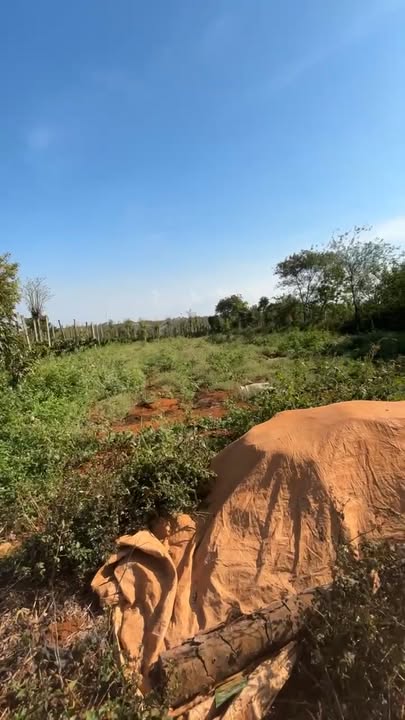 Đất Nền 1200m² Đắk Song, Đắk Nông - Giá 800 Triệu Bớt Lộc