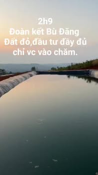 Bán Đất Vườn 2.9ha Xã Đoàn Kết, Bình Phước - Sẵn Sổ, Giá Đầu Tư