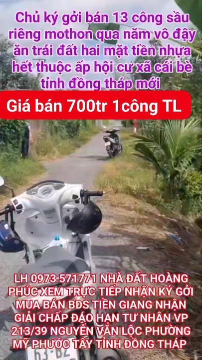 Đất Vườn Sầu Riêng Mỹ Hội 13.000m² - 2 Mặt Tiền Nhựa - Thu Hoạch Ngay!