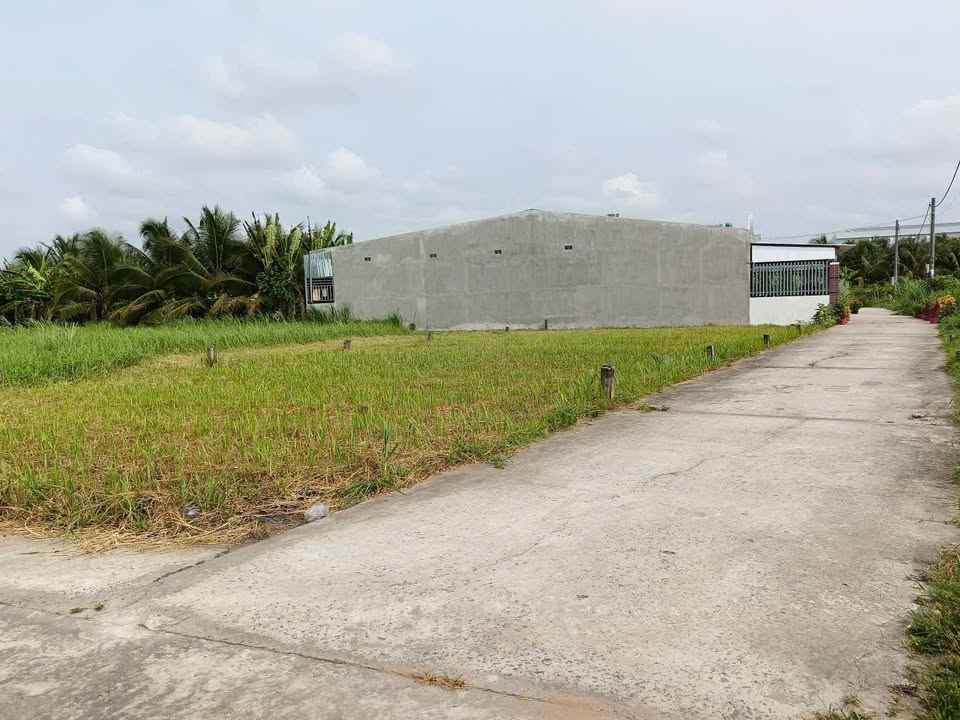 Đất nền Sổ hồng KCN Tân Hương 100m² - Giá 420 triệu