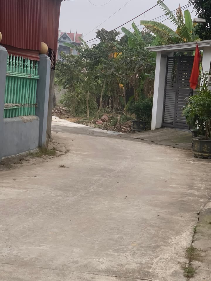 Bán Gấp Mặt Tiền Đoan Bái, Hiệp Hòa 238m² Thổ Cư - Giá Tốt