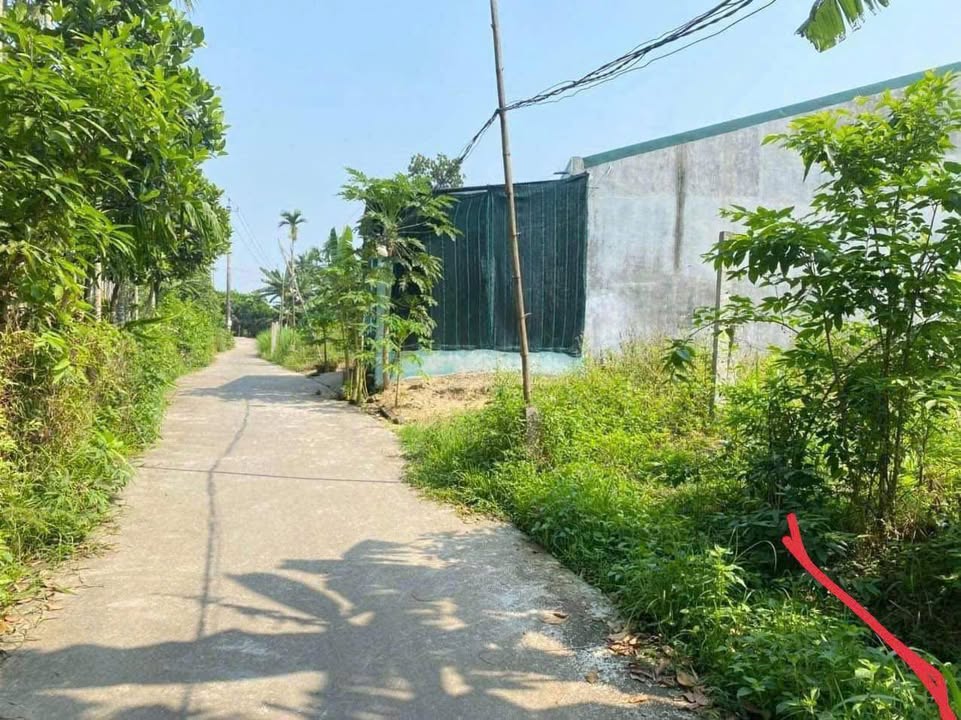 Đất nền Mỹ Yên, Tịnh Hà 110m² - Tiềm năng tăng giá vượt trội!