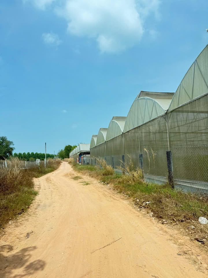 Đất nền Ấp Cầu Tân Biên 160m² chỉ 150 triệu - Pháp lý rõ ràng!