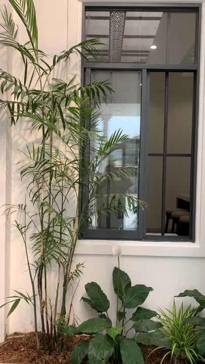 Villa Nguyễn Chí Thanh Tây Ninh 255m² giá 2.29 tỷ - Thiết kế hiện đại