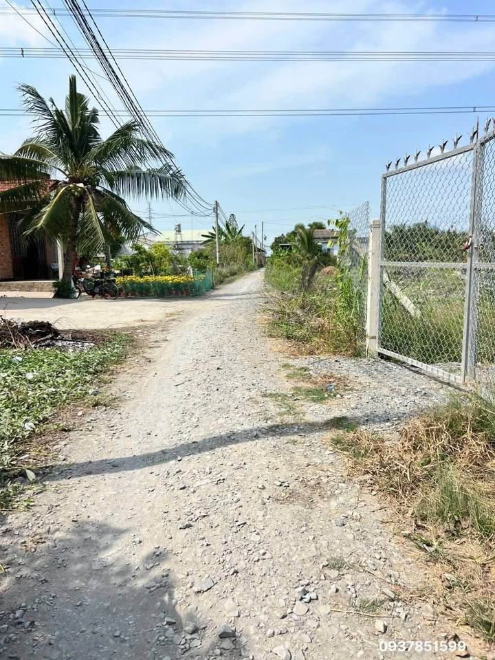 Đất Vườn Long An 1152m² - 600 Triệu, Gần Chợ Hòa Phú, Sẵn Vườn Dừa