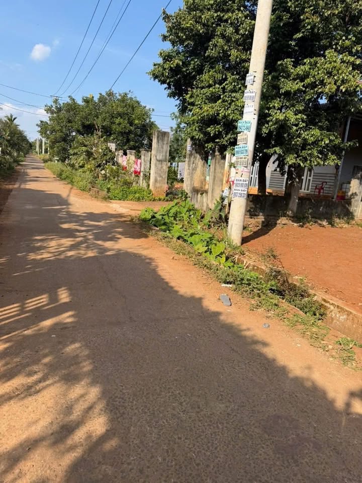 Đất Nền Buôn Ma Thuột 265m² - Sổ Đỏ Sẵn, Hướng Tây, Gần Khu Đấu Giá