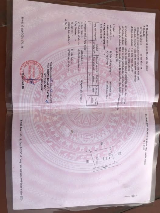 Nhà riêng Nam Đồng, Kim Sơn 310m² - Sẵn sàng ở ngay!