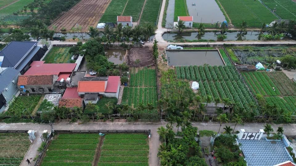 Bán Đất Vàng Ninh Cơ 374m² - 2 Mặt Đường, Gần KCN, Cảng Sâu