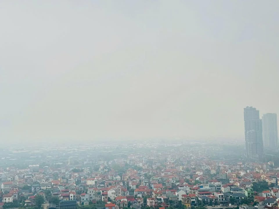 Căn hộ Westbay Ecopark 45m² - View đẹp, full nội thất cao cấp!