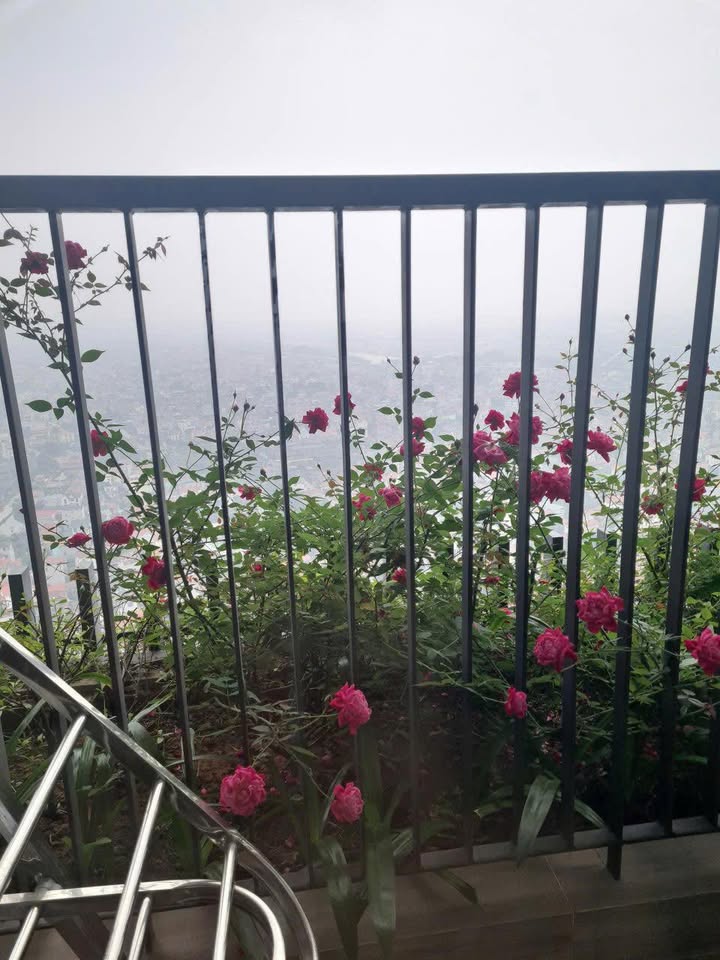 Căn hộ Studio Landmark Hưng Yên - View Sông Hồng 7 Triệu/tháng